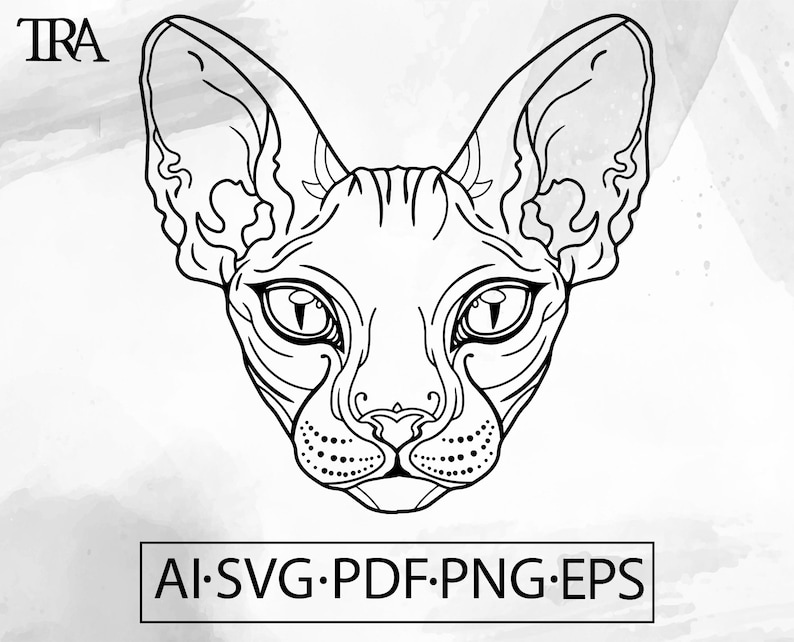 May include: Line art illustration of a Sphynx cat's head with large ears. The cat has a serious expression with large, round eyes. The image is in black and white.