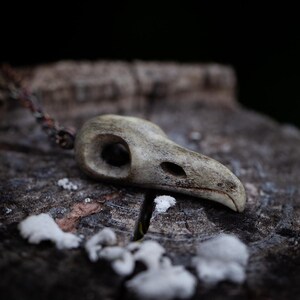 Pendant bird skull, charm made of antler, handcarved antler necklace for gothic and dark people