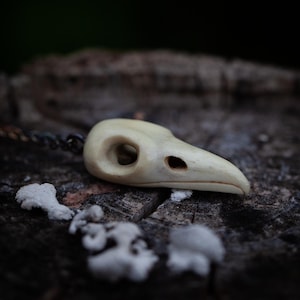 Pendant bird skull, charm made of antler, handcarved antler necklace for gothic and dark people