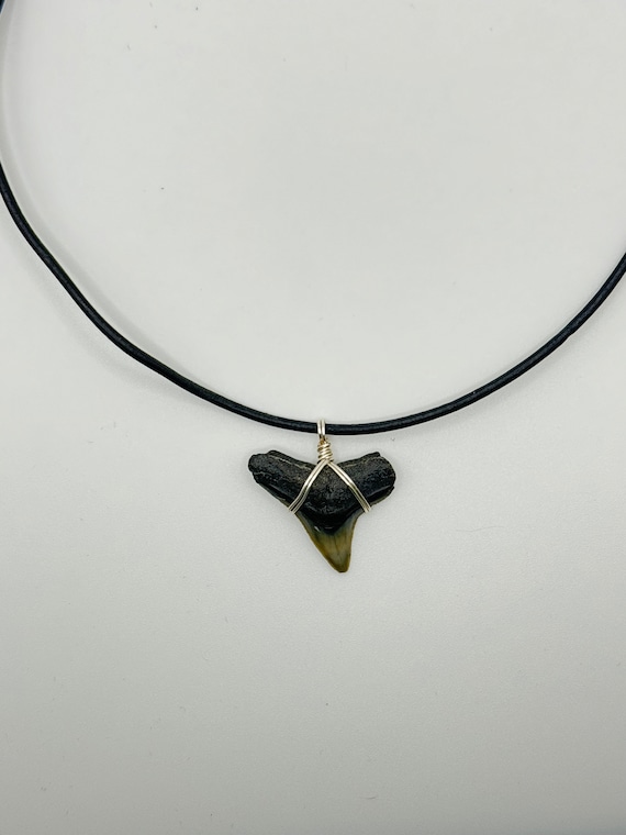 Fossilized Shark Tooth Necklace With Silver Copper Wire Wrapped