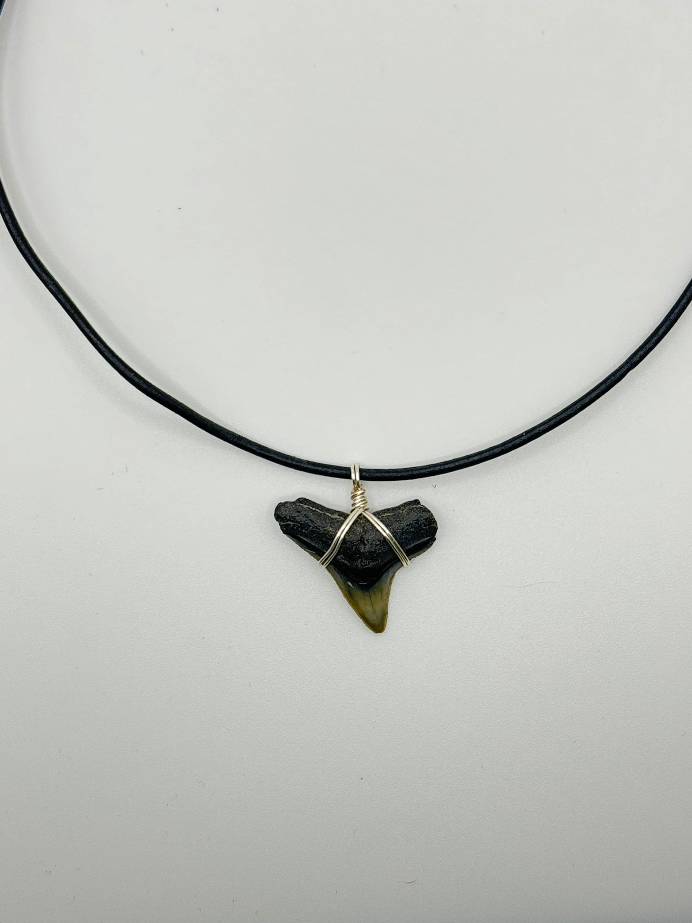 Fossilized Shark Tooth Necklace With Silver Copper Wire Wrapped