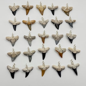 Bone Valley Wire Wrapped Shark Tooth Pendants for Necklace and Bracelets Sterling Silver