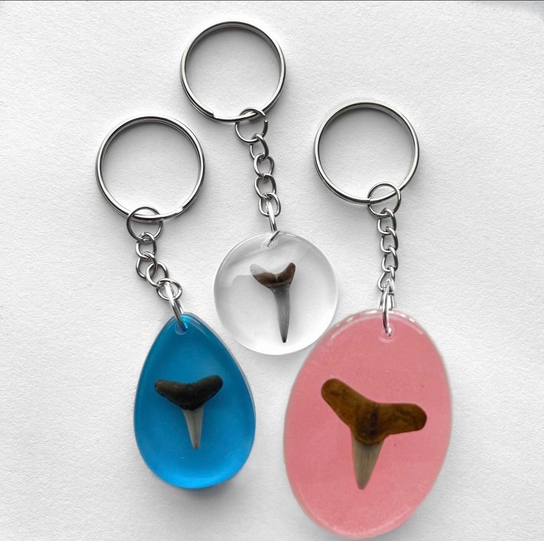 Fossilized Shark Tooth Keychain Epoxy Resin Etsy