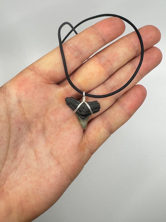 Fossilized Shark Tooth Necklace With Silver Copper Wire Wrapped