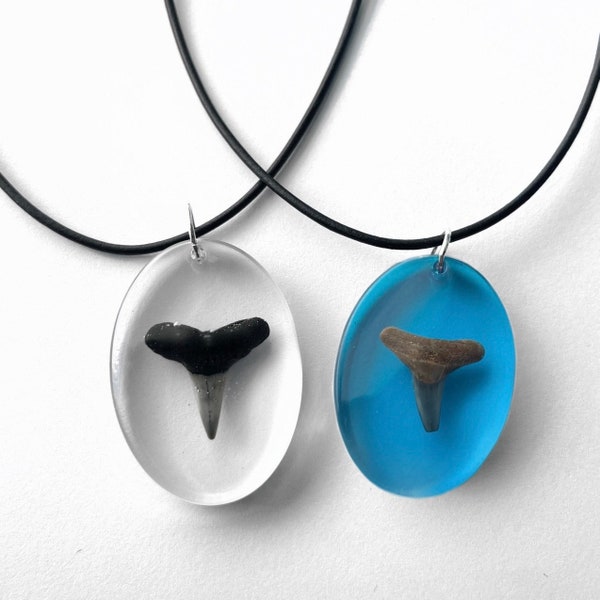 Shark Tooth Necklace Etsy