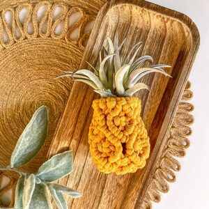 Pineapple Air Plant Holder | Unique Air Plant Holder | Macrame Air Plant Holder | Small Air Plant Holder | Air Plant Accessories | Plants