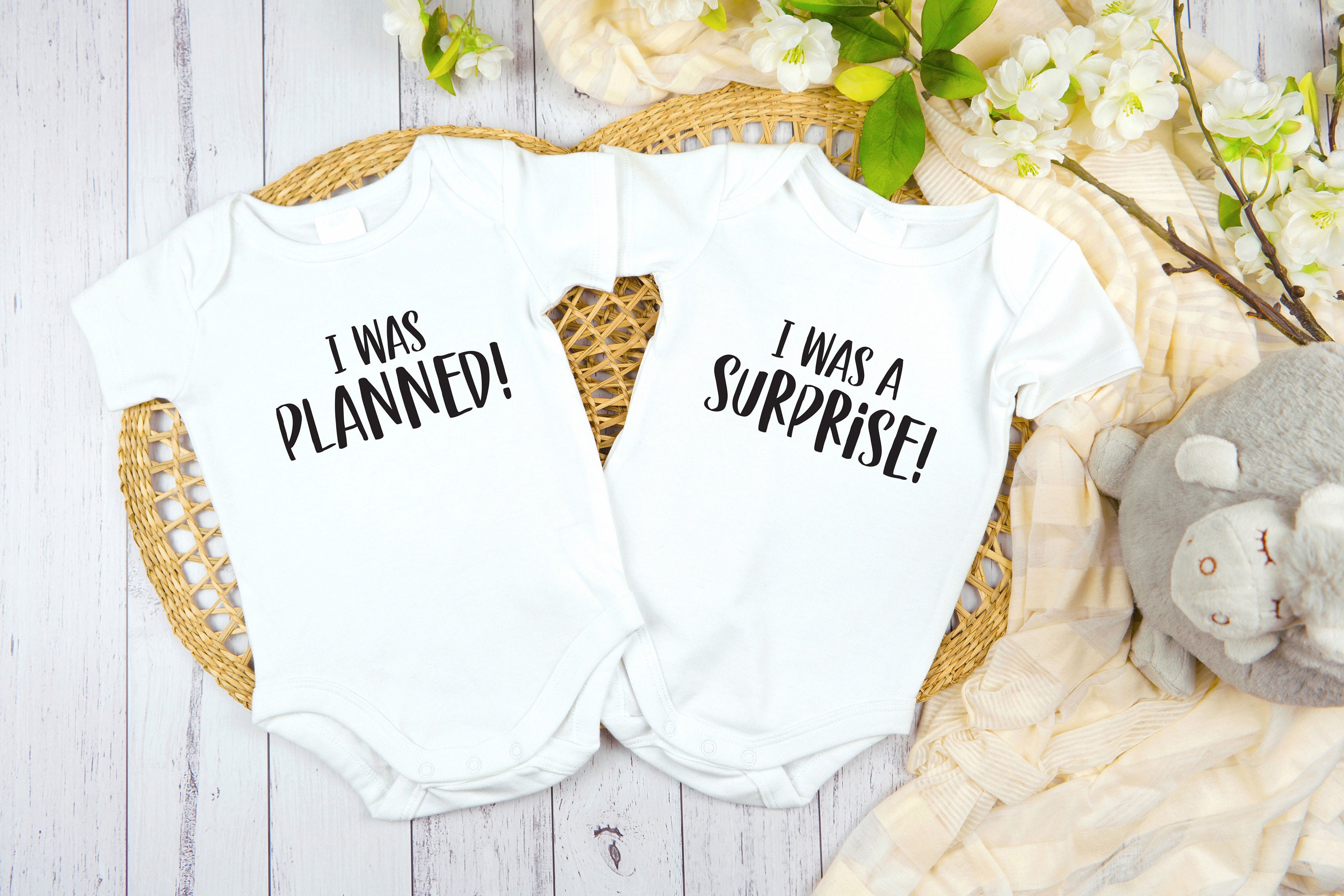 Twins I Was Planned, I Was a Surprise Bodysuit, Baby Boy Gift, Twin Baby Girls Bodysuit, New Twin Babies Gift, Unisex Multiples Bodysuit
