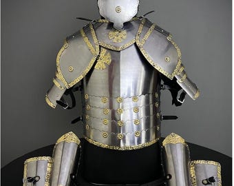 Medieval Hussar Steel Armor: Half Body LARP Cosplay Costume