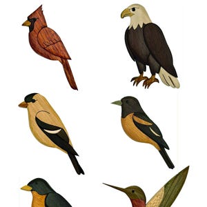 Puede incluir: Colección de seis figuras de pájaros de madera, incluyendo un cardenal, un águila, un pinzón, un oropéndola, un petirrojo y un colibrí. Las aves están elaboradas con veta de madera detallada y pintadas en colores naturales.