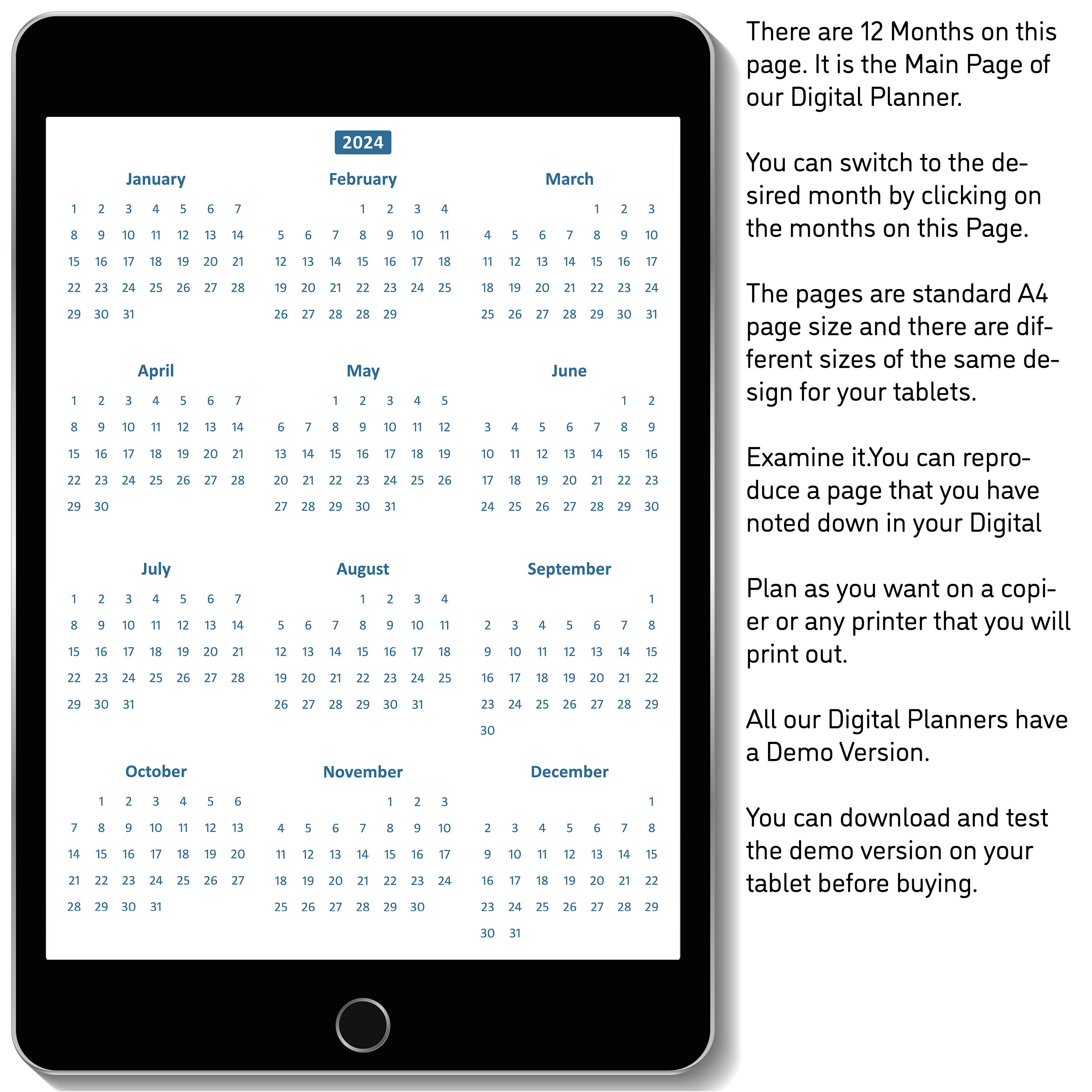 2024 and 2025 Digital Planner, 2025 ADHD Digital Annual Plan, Personalized Digital Planner