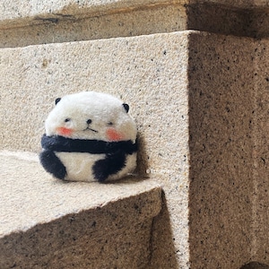 PANDA Sony WF1000 XM4/ XM5 Case Cover