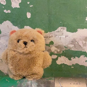 TEDDY BEAR Case for Bose QuietComfort II/ QuietComfort Ultra/ Ultra Open/ QuietComfort (2024)/ QuietComfort Ultra (2nd Gen)