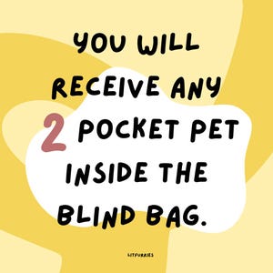 May include: A yellow and white graphic with the text "You will receive any 2 pocket pet inside the blind bag." The text is in black with a pink number 2.
