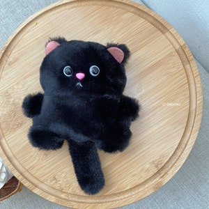 Étui pour AIRPODS BLACK CAT pour Gen 1 | 2| 3 | 4| Professionnels | Pro 2, Housse pour AirPods Black Kitten, Amoureux des chats noirs, Idées cadeaux d&#39;anniversaire