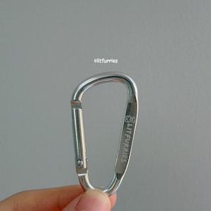 May include: A silver-colored metal carabiner with a spring-loaded gate. The side of the carabiner features an engraved logo with a small bear icon and the text LITFURRIES. The text LITFURRIES is also printed in small white letters above the carabiner.