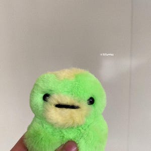May include: A green and yellow plush toy with black eyes and a black mouth. The toy is shaped like a frog.
