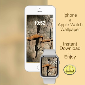 Apple Watch Wallpaper, Herbst GoldRinde Grau Braun, Hintergrund Smartphone, Uhren Gesicht, Digital Phone Hintergrund,