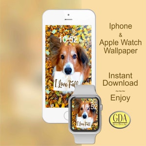 Pode incluir: Um conjunto de papéis de parede digitais para iPhone e Apple Watch com um cão marrom e branco segurando um cartaz que diz "I Love Fall" em letras marrons. O cão está rodeado de folhas de outono amarelas e laranja. O horário é exibido como 10:52 nas telas do telefone e do relógio.