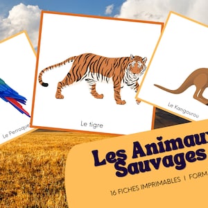 ANIMAUX sauvages 16 fiches imprimables / printable WILD ANIMALS flash cards . Compatible Montessori.
