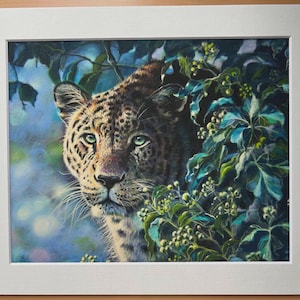 Mounted Leopard Print, Fine Art Print ~ Giclee Print ~ Animal print