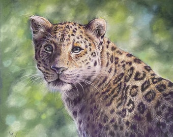 Leopard Artwork ~ Original Art ~ Leopard Painting ~ Wildlife Art ~ Leopard Art ~ Signed