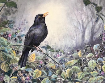 Blackbird Art ~ Pastel Painting ~ Original Art