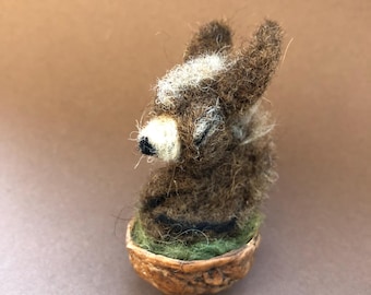 Cute Little Donkey Sleeping in a Walnut Shell Brooch, Wool Felt Organic Accessory, Gift, Unique, Miniature, Birthday Gift