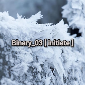 May include: A close-up view of intricate white frost crystals covering a surface, featuring sharp, jagged ice formations. The text "Binary_03 [initiate]" is centered in the middle of the image in a bold, dark font with a light outline.