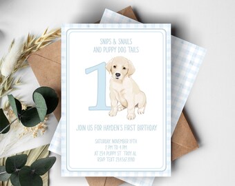 Boy Birthday Invite | Puppy | Dog | Snips and Snails | Pawty | 1st Birthday | Come Sit Stay | Blue Gingham | Baby Blue | DIGITAL FILE