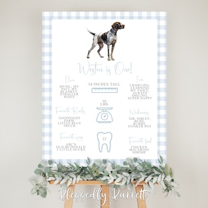 Könnte beinhalten: Ein blaues und weißes Gingham-Poster mit einer Aquarell-Illustration eines Hundes. Das Poster ist eine Meilenstein-Tabelle zum ersten Geburtstag eines Babys namens Weston. Es enthält Informationen über seine Größe, sein Gewicht, seine Lieblingsbücher, Lieder und Lebensmittel. Der Text lautet "Weston ist ein Jahr alt!"