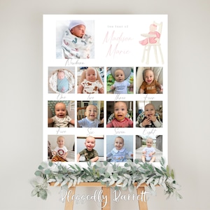 Baby Doll Brunch Birthday Picture Milestone Sign | Coquette Bow Crest | First Birthday | Pink Floral | Fancy | Classic Grandmillenial