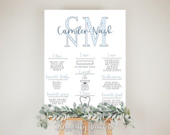 May include: A blue and white gingham baby milestone poster with the name Camden Nash. The poster includes information about the baby's height, weight, favorite foods, books, and songs. The poster also includes a section for nicknames.