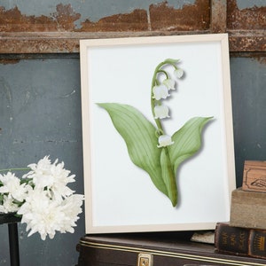 White Lily Of The Valley Art Print, May Birth Flower Printable Wall Art for Living Room or Kitchen or Farmhouse Wall Decor, Digital Download