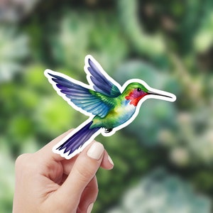 Sticker colibri aquarelle, sticker vinyle oiseau coloré, imperméable pour ordinateur portable, bouteille d'eau, mur de fenêtre de voiture, illustration tropicale