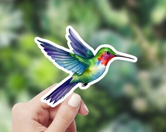 Watercolor Hummingbird Sticker, Colorful Bird Vinyl Decal, Waterproof for Laptop Water Bottle Car Window Wall, Tropical Illustration