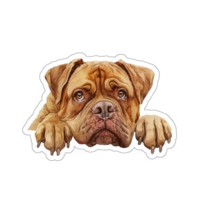 Douge de Bordeaux Sticker, glurenhond waterdichte vinylsticker voor laptop bidon telefoon muur autoraamtattoo cadeau!