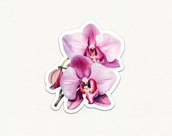 Pink Orchid Flower Vinyl Sticker, Glossy Floral Waterproof Decal, Cute Flora for Laptop Water Bottle Journal Planner