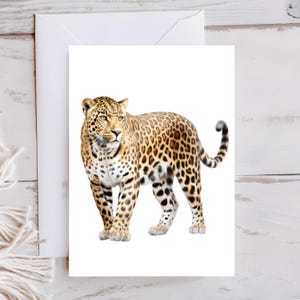 Lot de 1 ou 10 cartes de voeux léopard, lot de cartes postales avec enveloppes, impression aquarelle chat sauvage pour anniversaires Noël, intérieur vierge