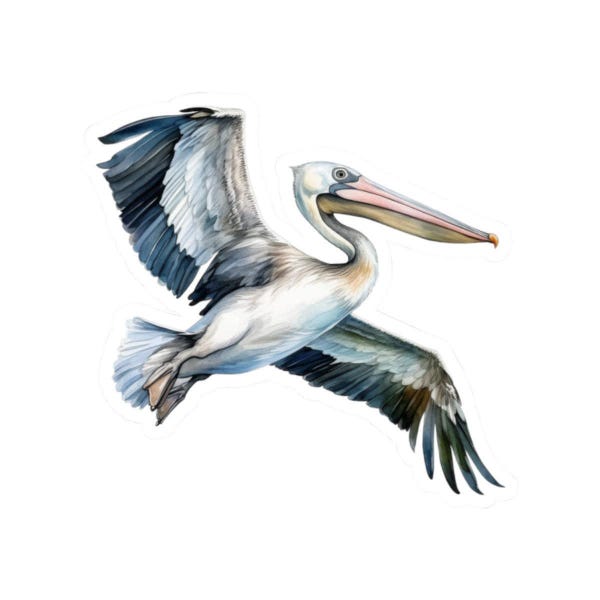 Adesivo in vinile con pellicano volante, adesivo a tema spiaggia, adesivo con uccello costiero, adesivo per laptop, adesivo per bottiglia d'acqua, regalo per amanti degli animali