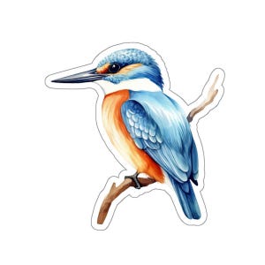 Kingfisher Bird Vinyl Sticker, Watercolor Bird Decal, Laptop Sticker, Waterproof Sticker, Nature Lover Gifts, Ornithology Art