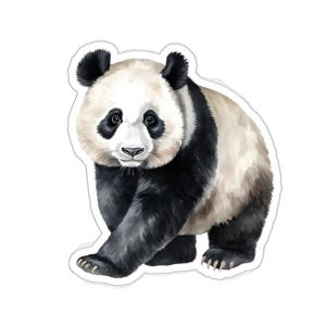 Panda Bear Stickers, Watercolor Panda Decal, Cute Animal Stickers, Gifts for Panda Lovers, Laptop Stickers, Water Bottle Stickers