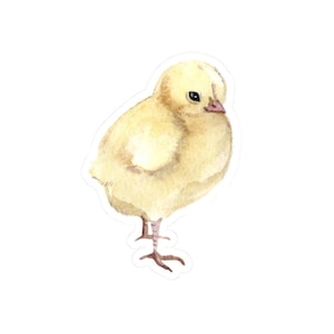 Cute Yellow Chick Sticker, Easter Baby Chick Decal, Spring Chicken Sticker, Animal Laptop Sticker, Farm Animal Sticker, Watercolor Chick