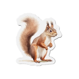 Realistic Squirrel Magnet, Watercolor Forest Animal Matte Vinyl Refrigerator Fridge Magnet for Squirrel Home Decor Kitchen Christmas Gift