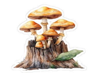 Mushroom Sticker, Cute Fungi Decal, Watercolor Art, Foraging Gift, Autumn Sticker, Laptop Sticker, Water Bottle Sticker, Gift for Her, Him
