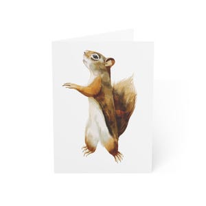 Cartões de felicitações de esquilo fofo, pacote com 10 ou cartão dobrado individualmente com envelope, em branco, conjunto de papelaria para presente de cartão postal de animal da floresta em aquarela