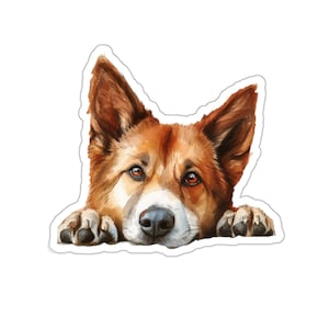 Adesivo cane pastore islandese, adesivo in vinile impermeabile cane che sbircia per laptop bottiglia d'acqua telefono parete auto vetrofania regalo