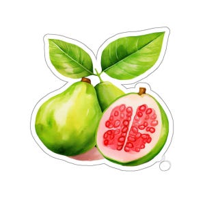 Vibrant Guava Sticker, Cute Tropical Fruit Decal, Water Resistant Vinyl Sticker for Laptop, Water Bottle, Journal, and More