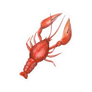 Crawfish Stickers, Watercolor Art Decal, Louisiana Gift, Foodie Sticker, Chef Gift, Laptop Sticker, Water Bottle Sticker