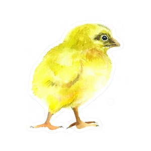 Cute Yellow Chick Watercolor Vinyl Sticker, Glossy Waterproof Decal, Best Friend Gift, Laptop Sticker, Small Gift, Easter Decoration
