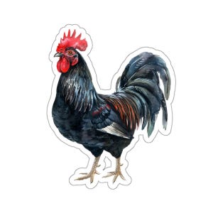 Sticker coq noir, vinyle imperméable pour ordinateur portable, bouteille d'eau, téléphone, voiture, mur, pare-chocs, fenêtre, décoration de ferme, cadeau paysan, amoureux des animaux